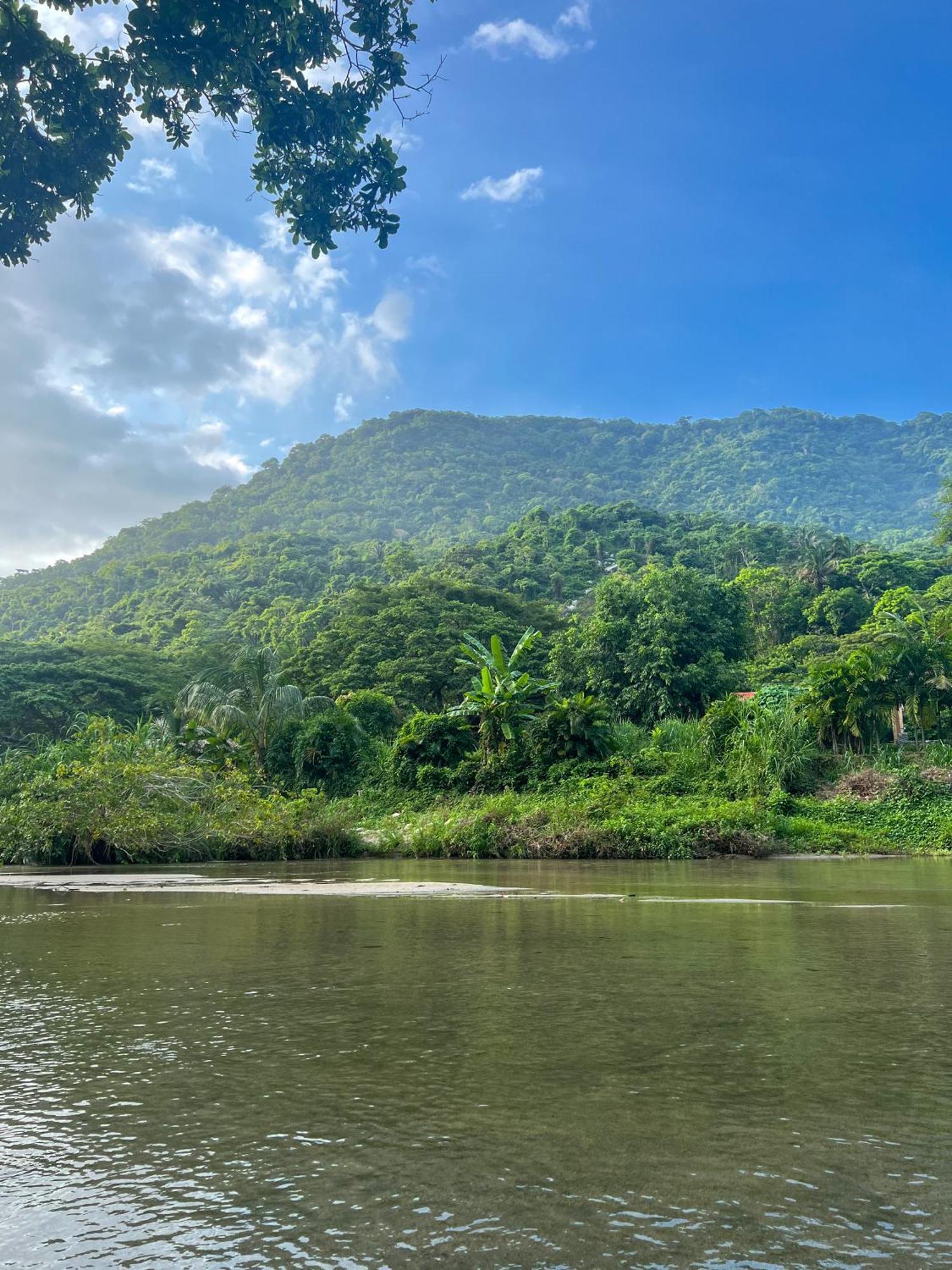 Tayrona Cachaco River Ecohostal Эль-Саино Экстерьер фото