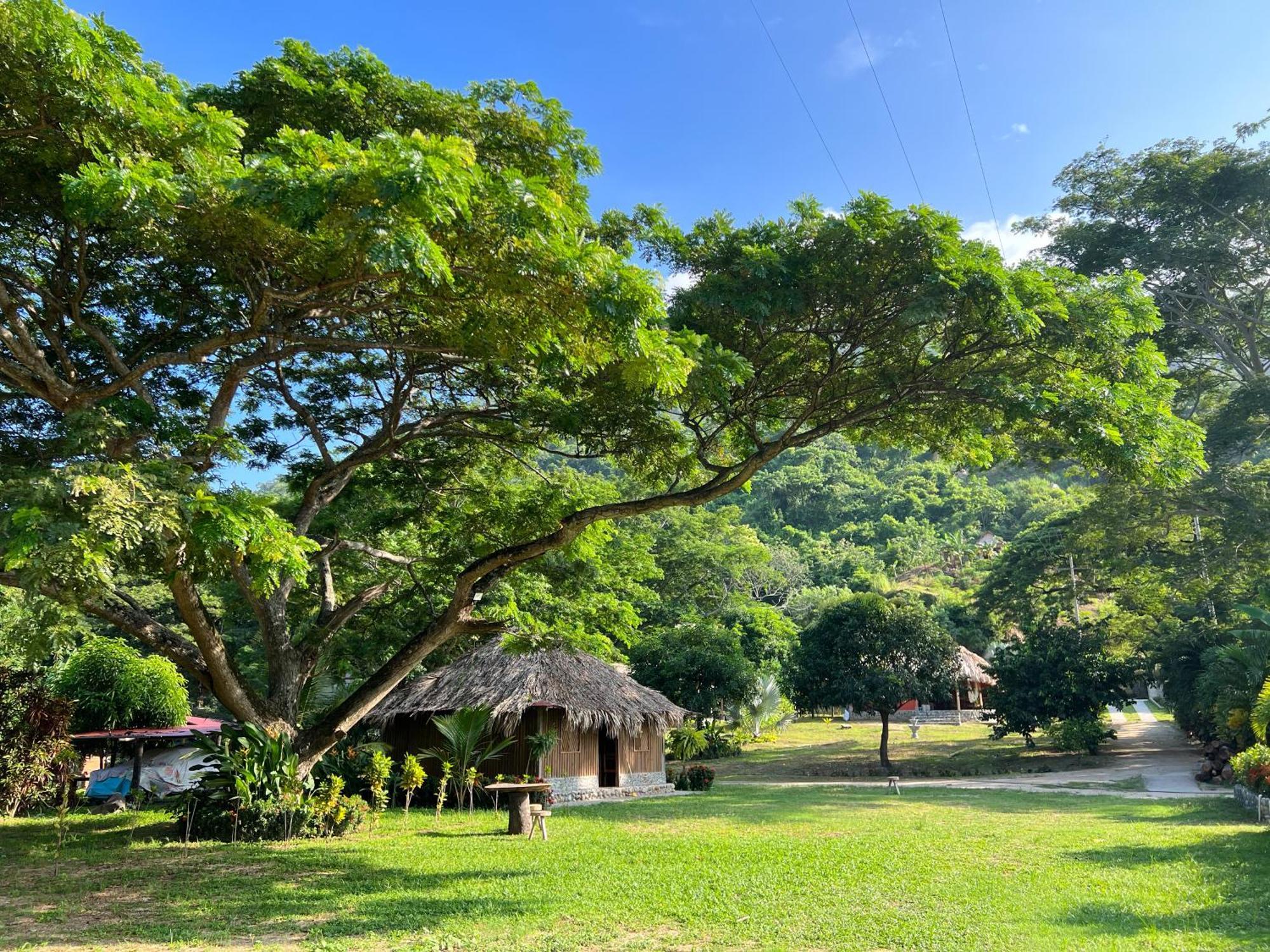 Tayrona Cachaco River Ecohostal Эль-Саино Экстерьер фото